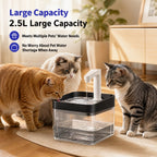 Fresh & Waste Water Separated Cat Fountain